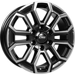 CMS C35