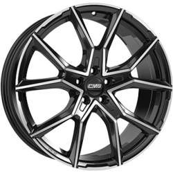CMS C33